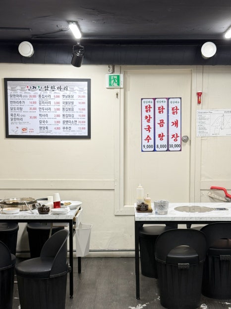 양계장닭한마리 사진 3