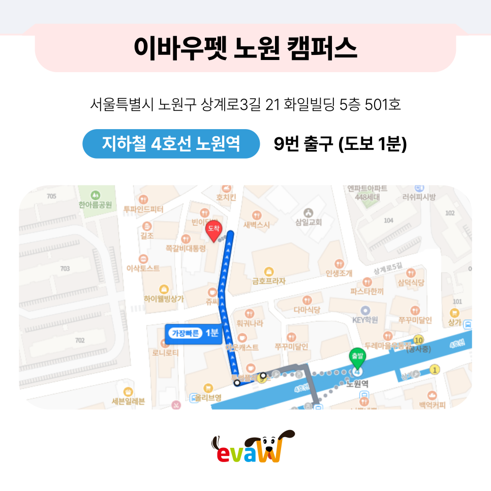 상계동 애견미용학원: 수강료 지원과 실무 중심 커리큘럼 — 사진 5