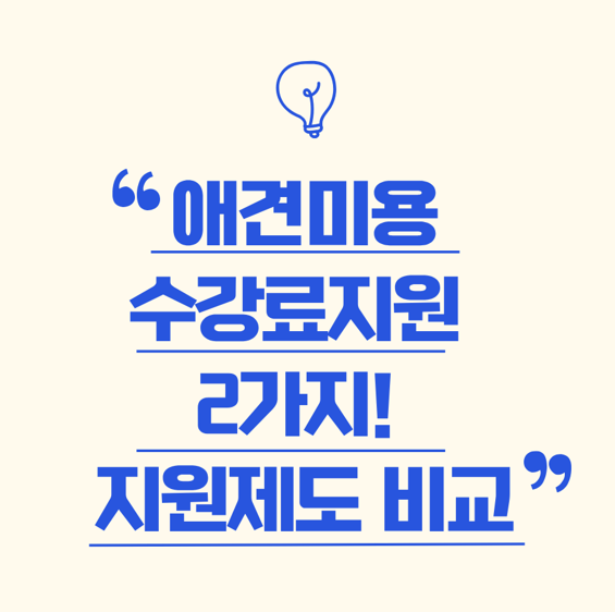 석촌동 애견미용학원, 국비보다 특별지원으로 실무 완성 — 사진 2