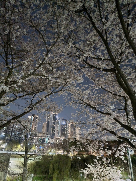 을지로골뱅이 대치점 사진 7