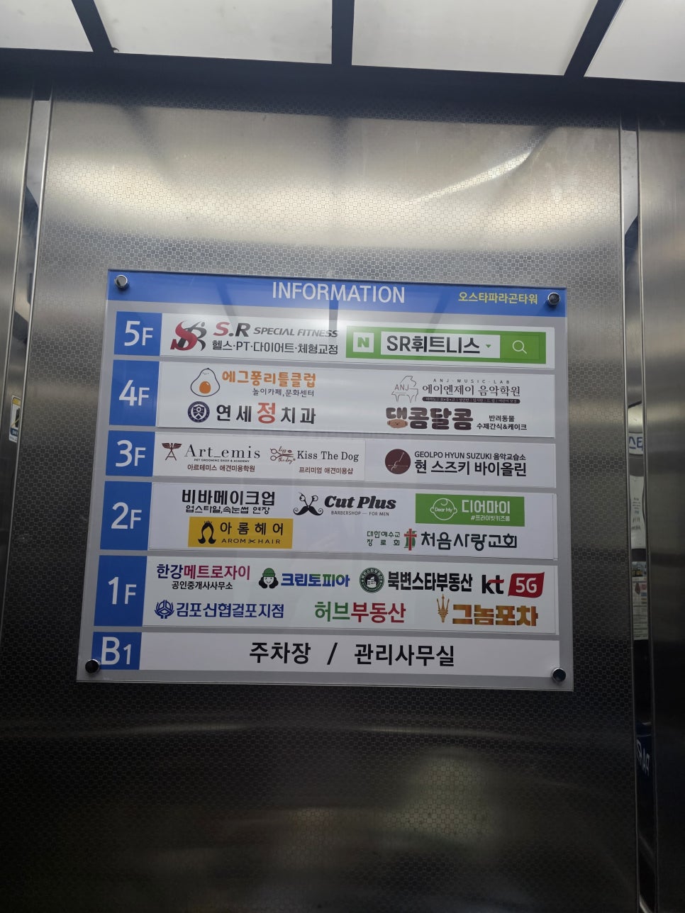 김포 댕콤달콤 강아지 생일 케이크 후기 — 사진 4