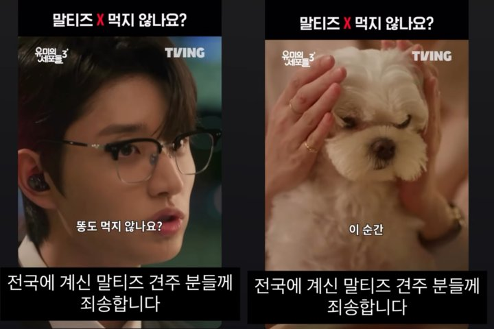 유미의 세포들3 김재원 충격 장면 이 순간 이후 평가가 달라졌다 이미지 5