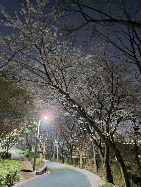 을지로골뱅이 대치점 사진 8