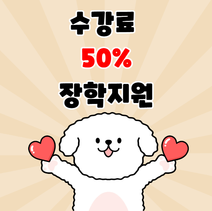 노원 강아지 미용학원: 장학지원 및 실견 수업 총정리