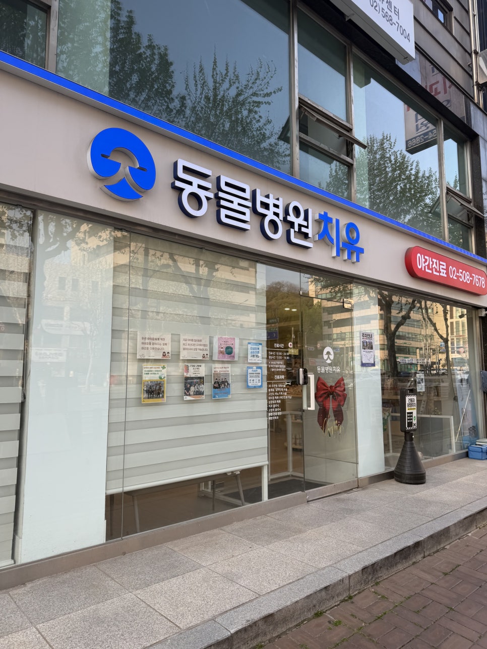 강남 24시 동물병원 도곡치유, 야간할증 없는 응급진료 후기 — 사진 3