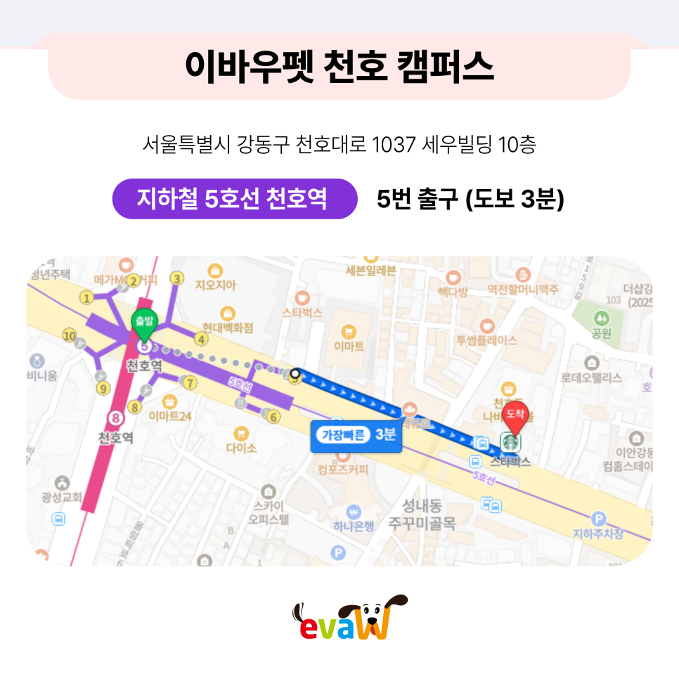 석촌동 애견미용학원, 국비보다 특별지원으로 실무 완성 — 사진 3