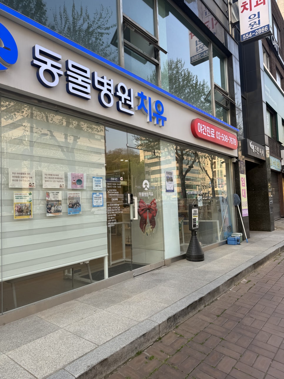 강남 24시 동물병원 도곡치유, 야간할증 없는 응급진료 후기