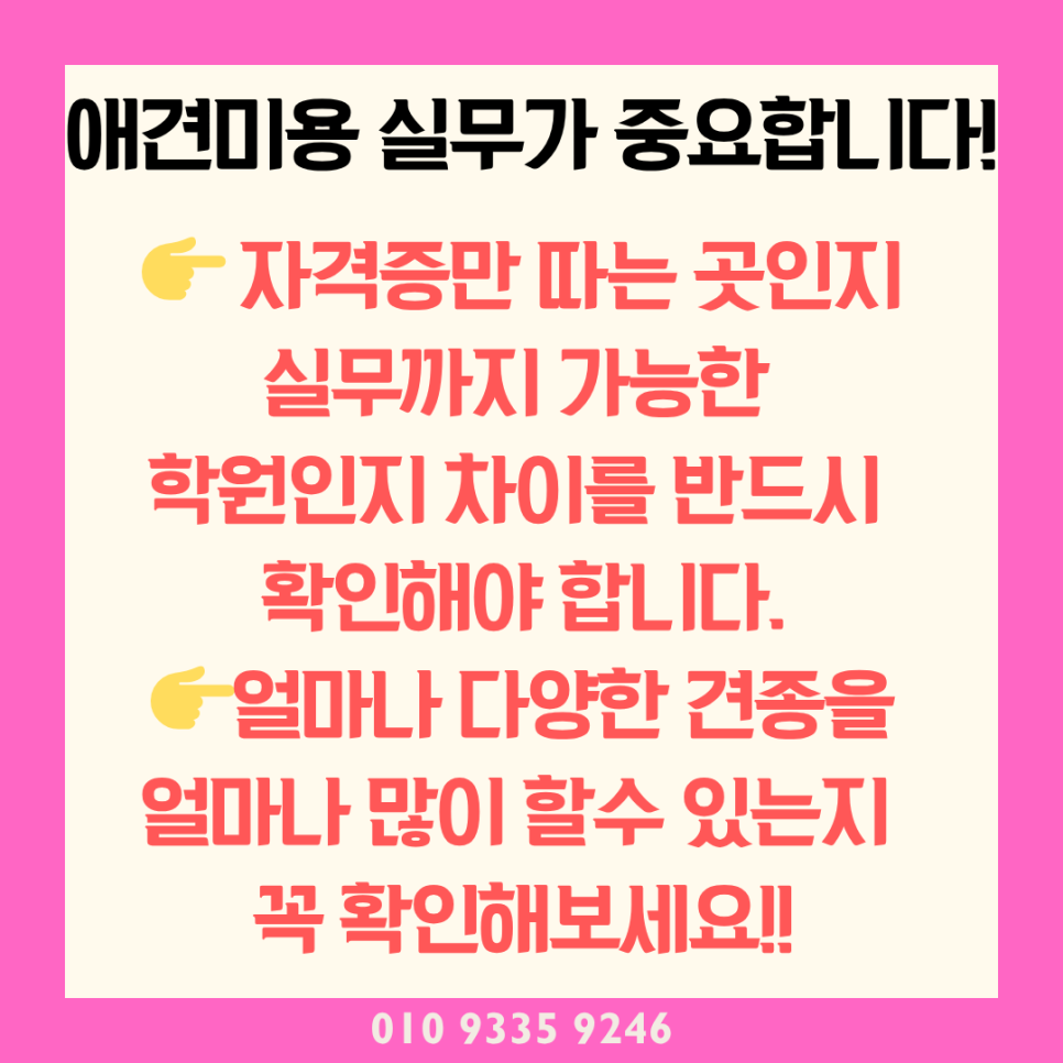 상계동 애견미용학원: 수강료 지원과 실무 중심 커리큘럼 — 사진 3