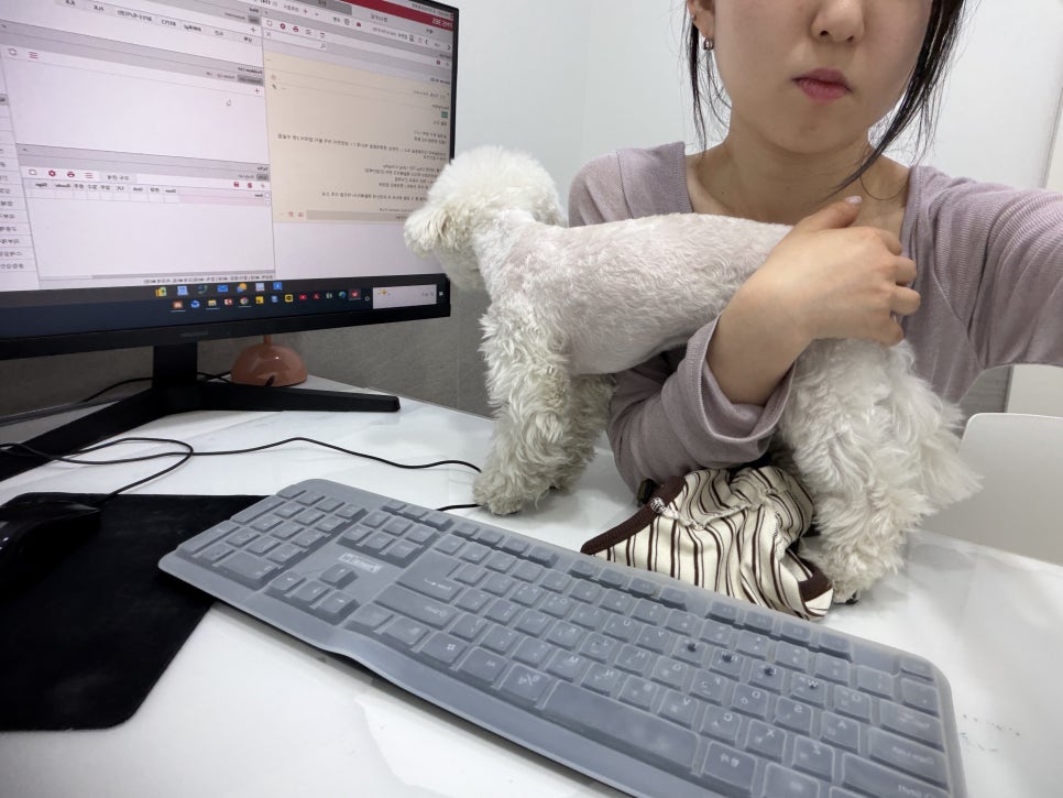 강남 24시 동물병원 도곡치유, 야간할증 없는 응급진료 후기 — 사진 12