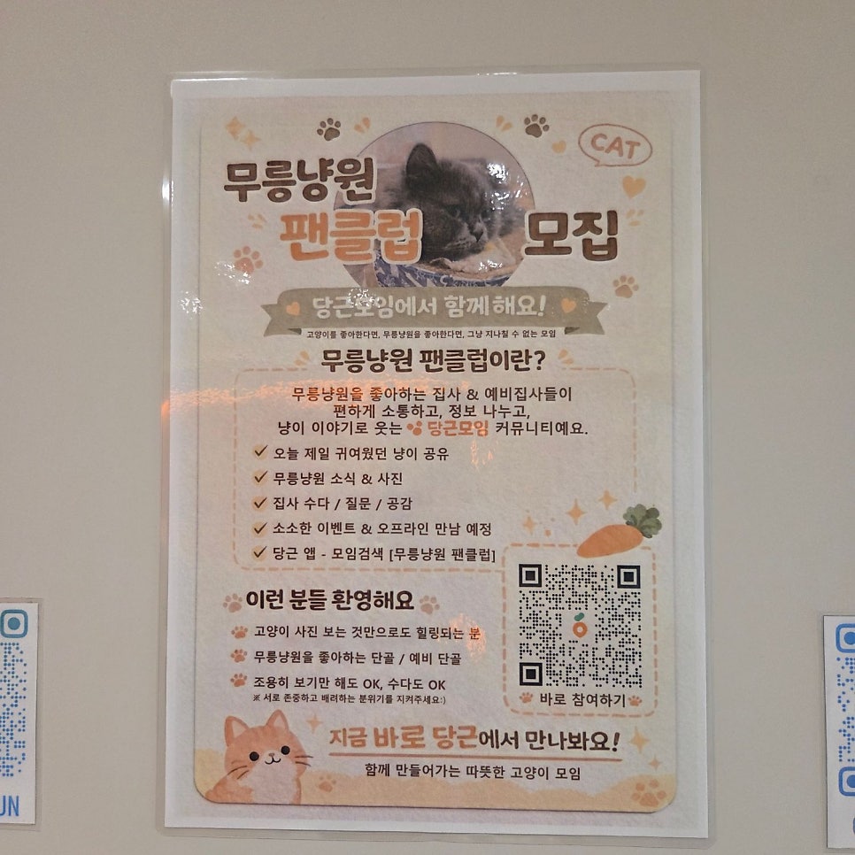 수원 고양이 카페 무릉냥원, 이색 데이트 코스 추천 — 사진 14
