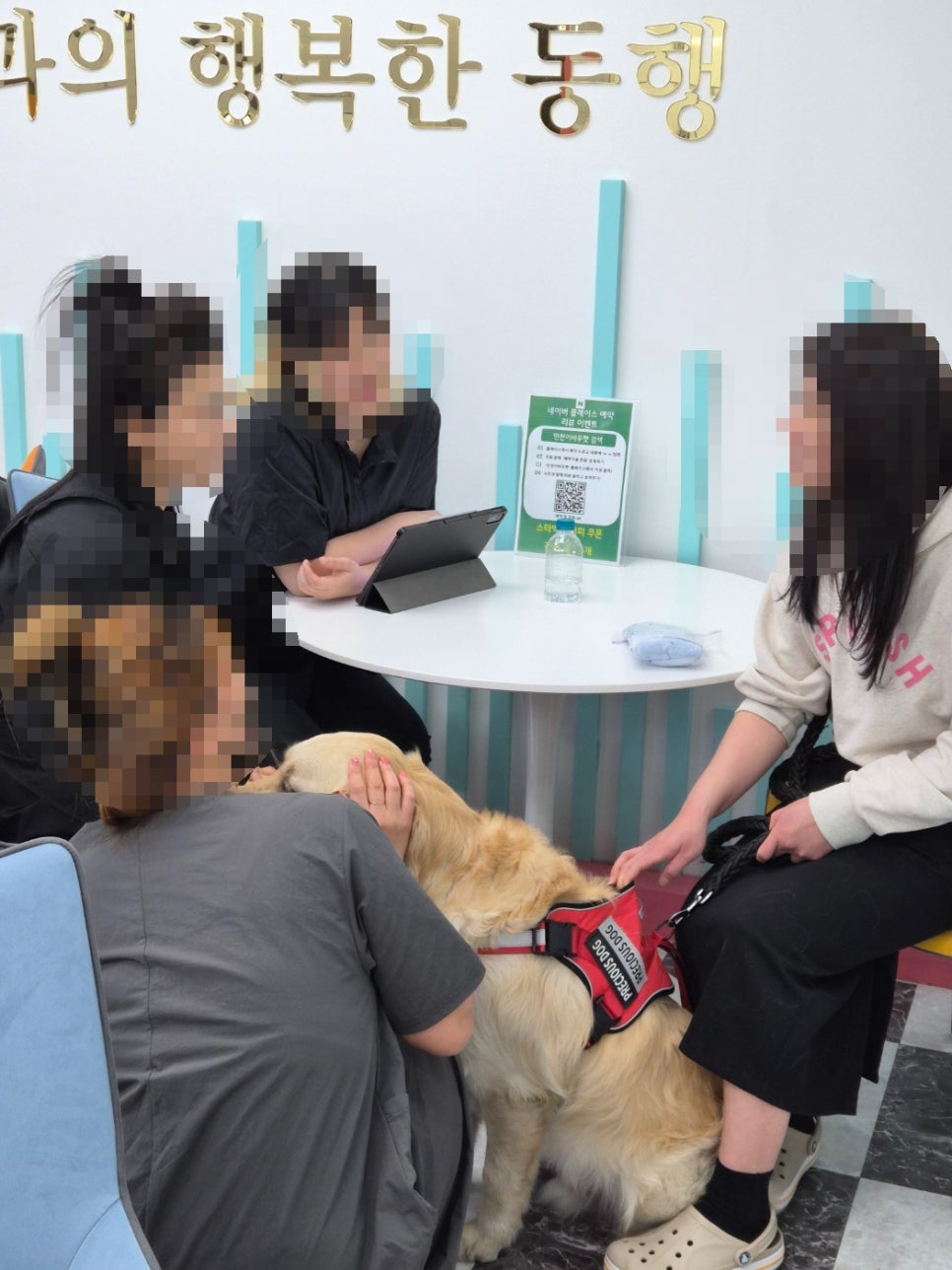 송도 애견미용학원, 비용부터 취업까지 직접 경험한 후기 — 사진 3