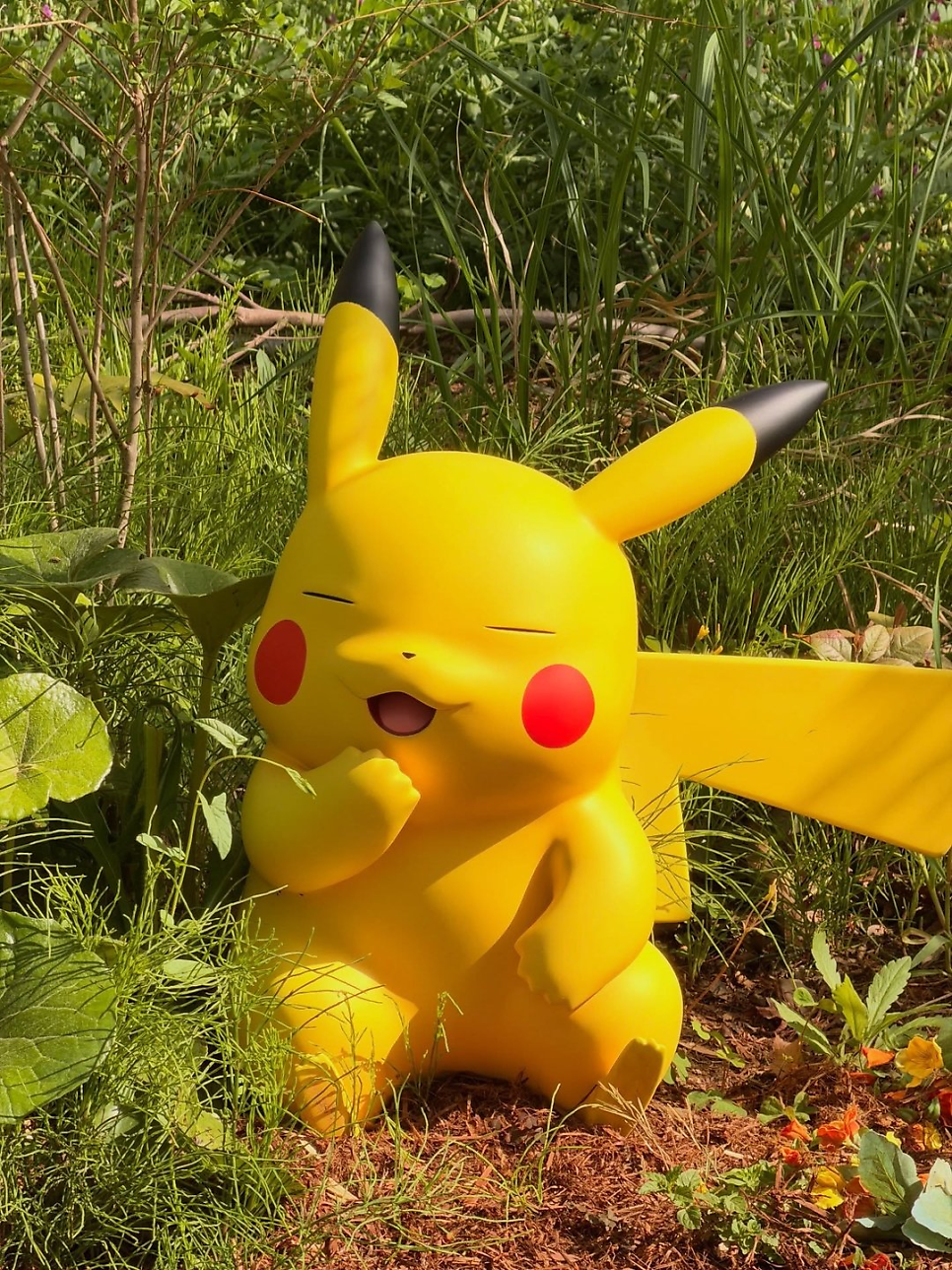 뷔 고라파덕 피카츄 인증샷 한 장면으로 분위기가 바뀐 이유 이미지 4