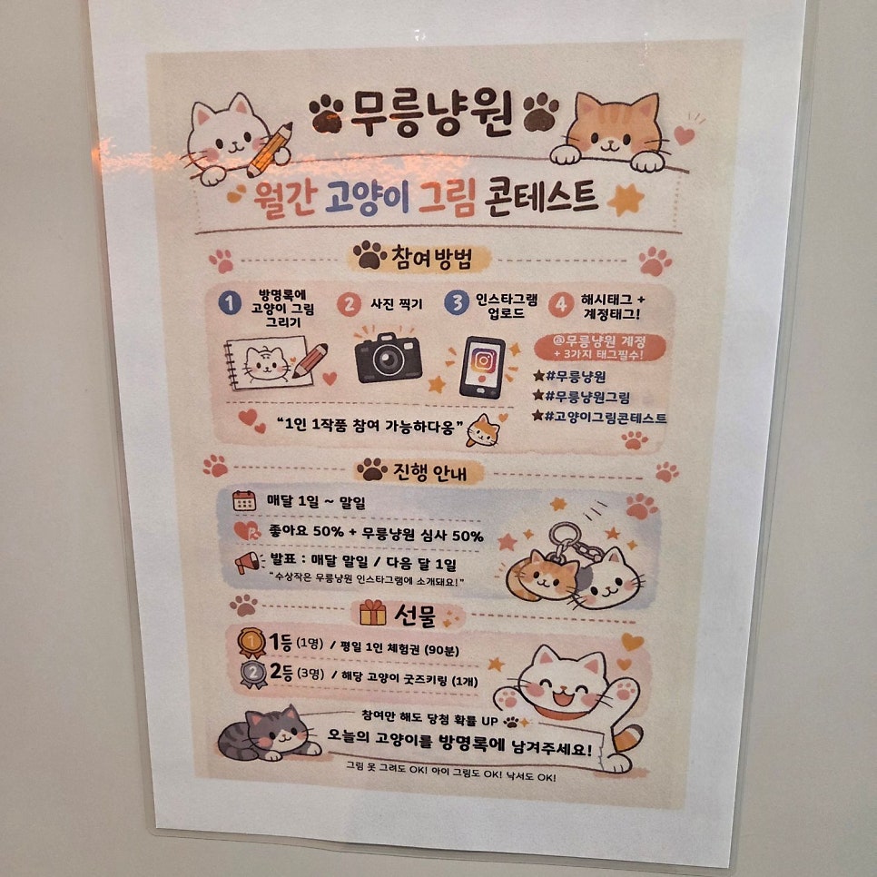 수원 고양이 카페 무릉냥원, 이색 데이트 코스 추천 — 사진 13