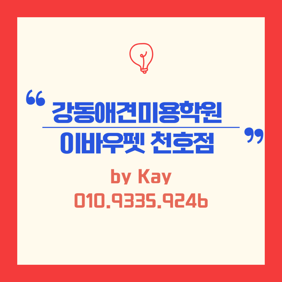 강동애견미용학원 국비지원부터 취업까지 완벽 가이드 — 사진 5