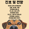 강동애견미용학원 국비지원부터 취업까지 완벽 가이드