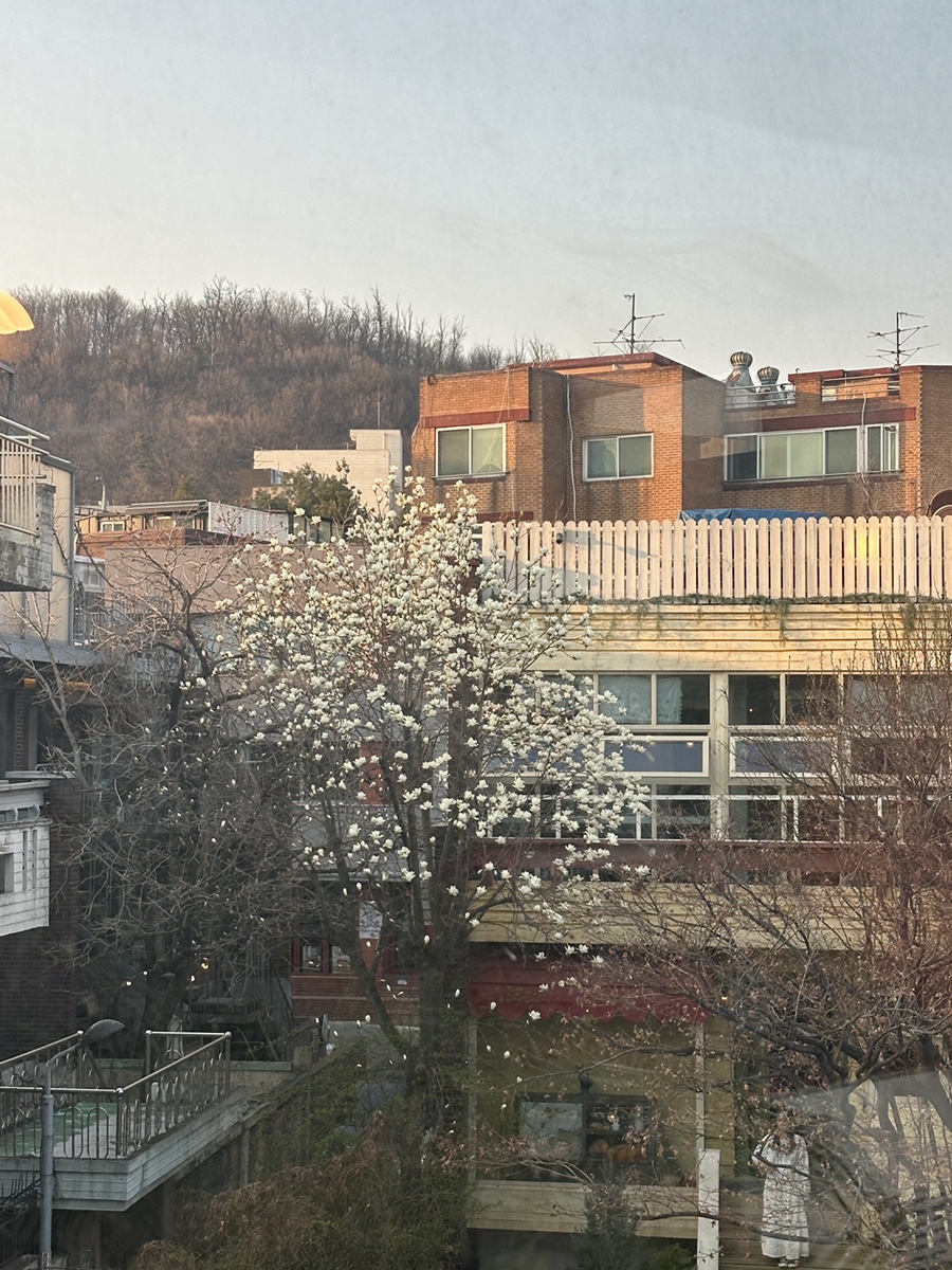 포담 티하우스 사진 2