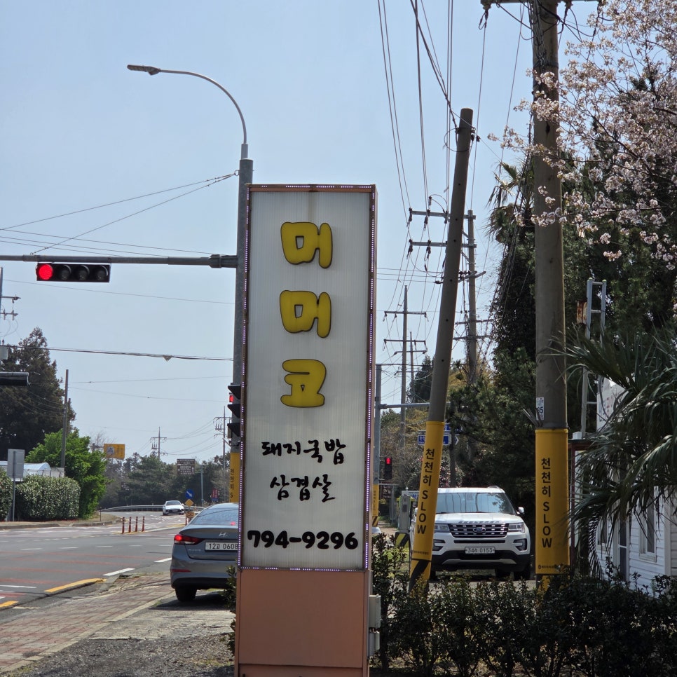 머머코 사진 3