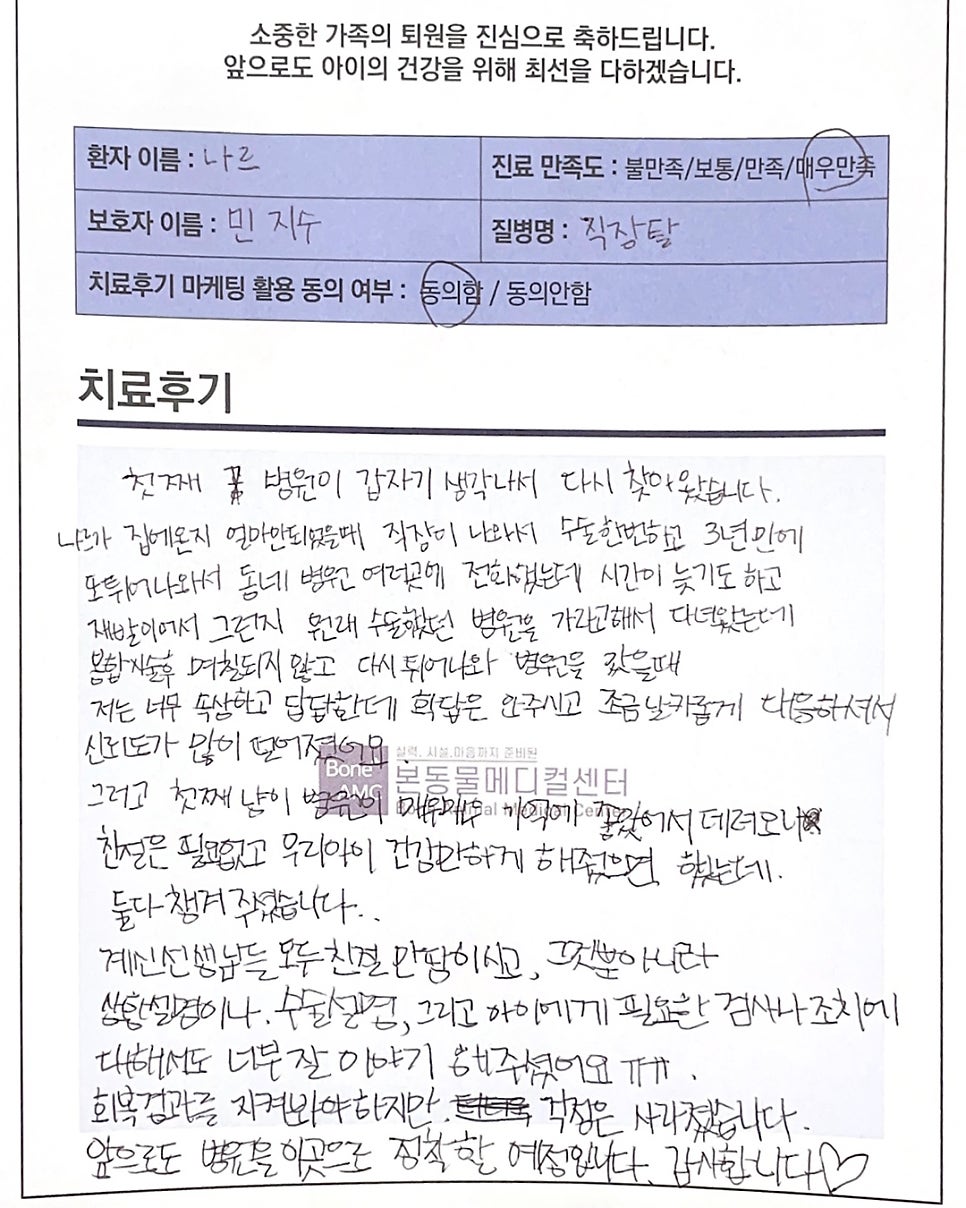 고양이 직장 탈출증, 대구 본동물메디컬센터에서 치료받은 후기 — 사진 4