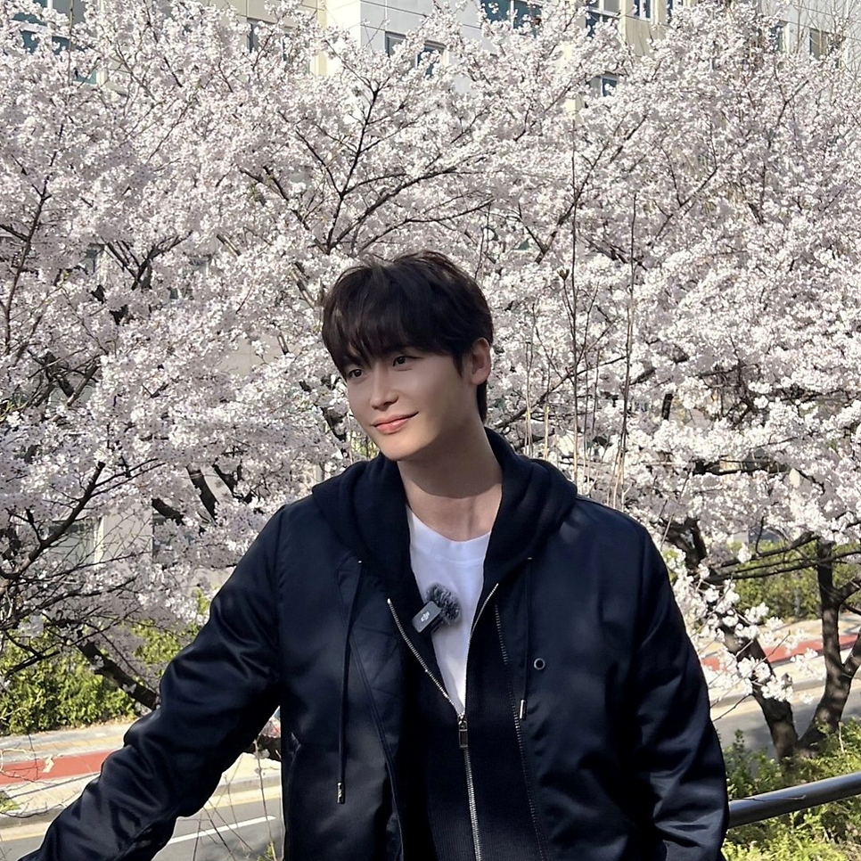 이종석 아이유 벚꽃놀이 흔적 지금 더 주목받는 이유는? 이미지 1