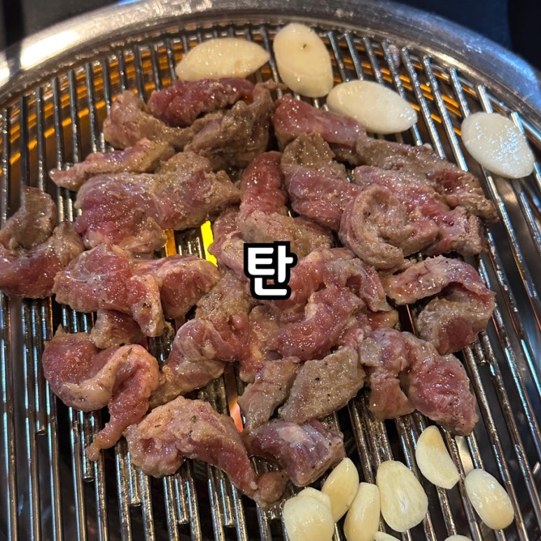 탄 사진 6