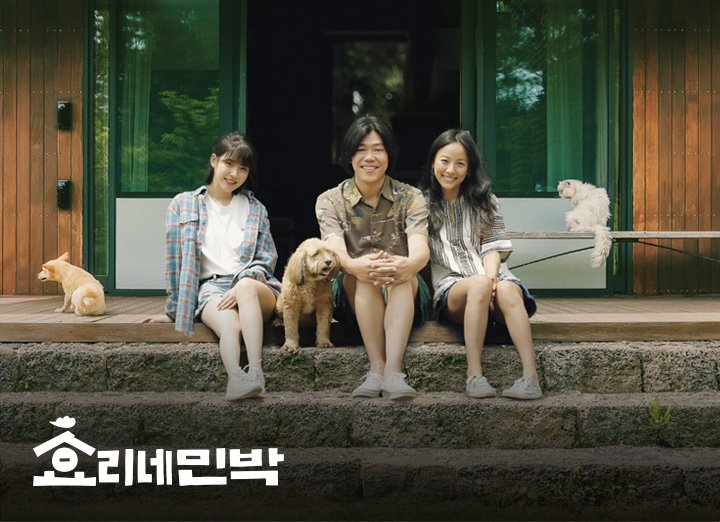 이효리 이상순 아이유 훈훈 인연 왜 요즘 더 눈길이 가는 걸까 이미지 5