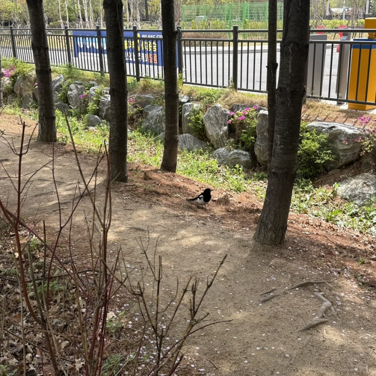 라돌이마라탕 사진 2