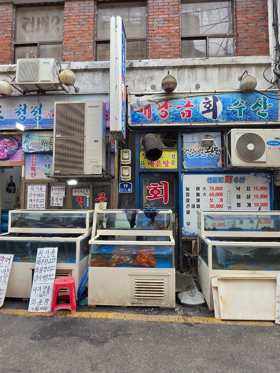 노다지품바 사진 5