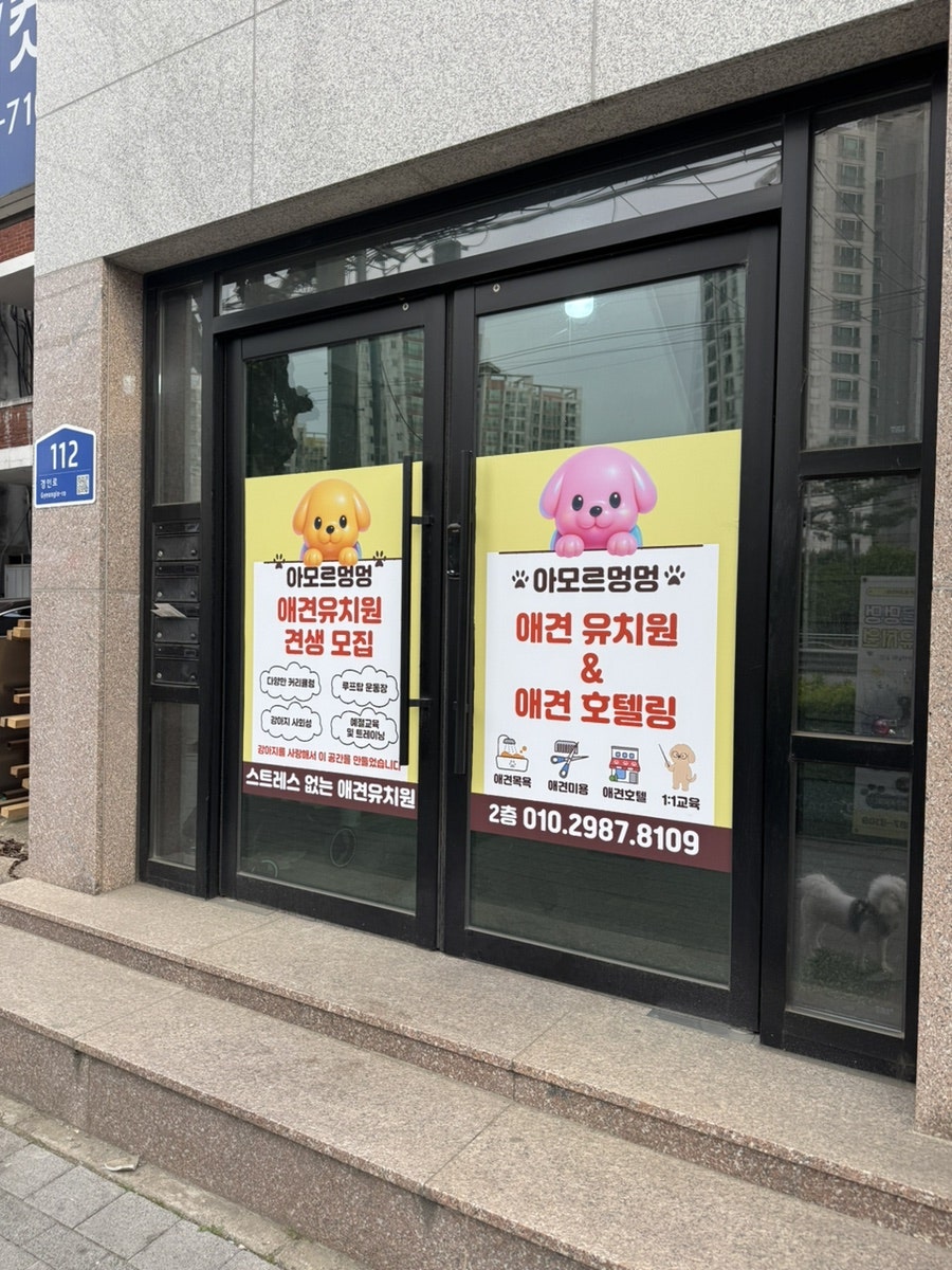 부천 애견 스파 미용 후기: 아모르멍멍 강아지 목욕 비용 및 과정 — 사진 3