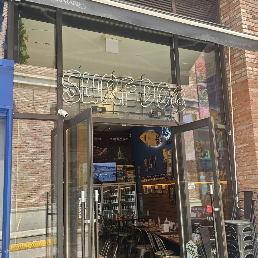 서프독 사진 6