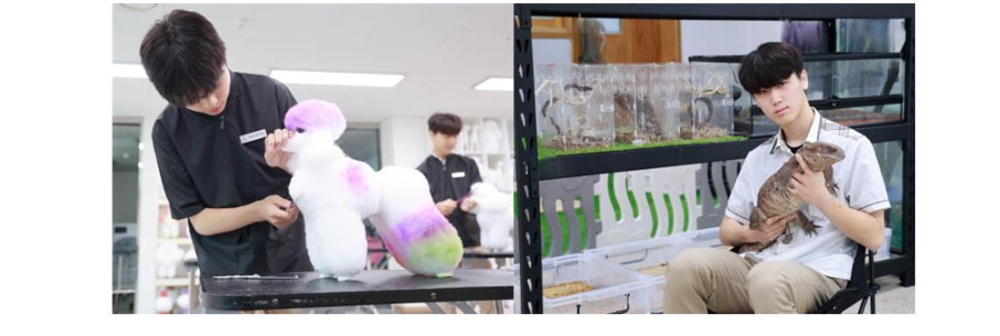반려동물 특성화고: 애견미용·펫케어 진로 준비 — 사진 11