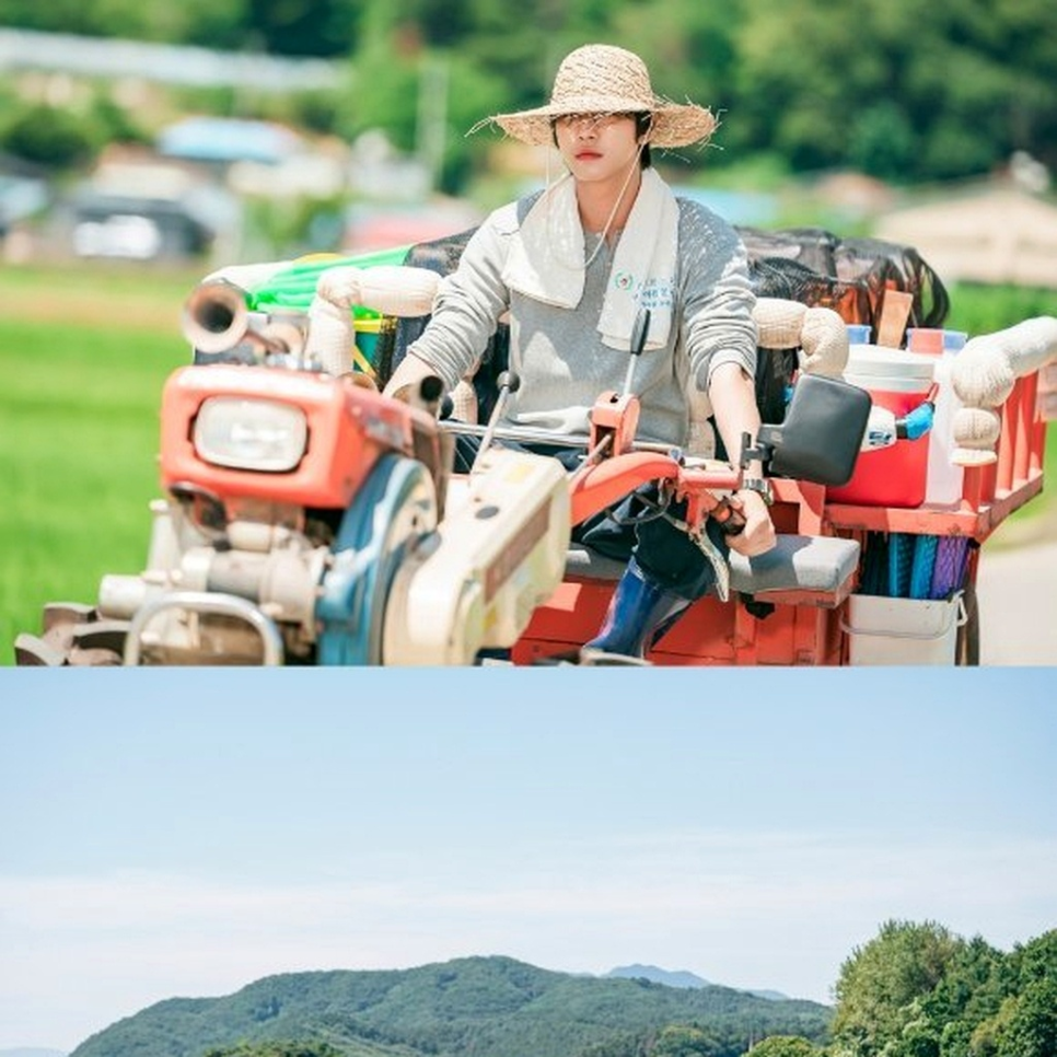 안효섭 채원빈 로코 첫방송 기록 이후 시선이 달라졌다 이미지 4
