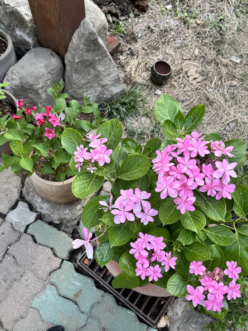 조선살롱 사진 8