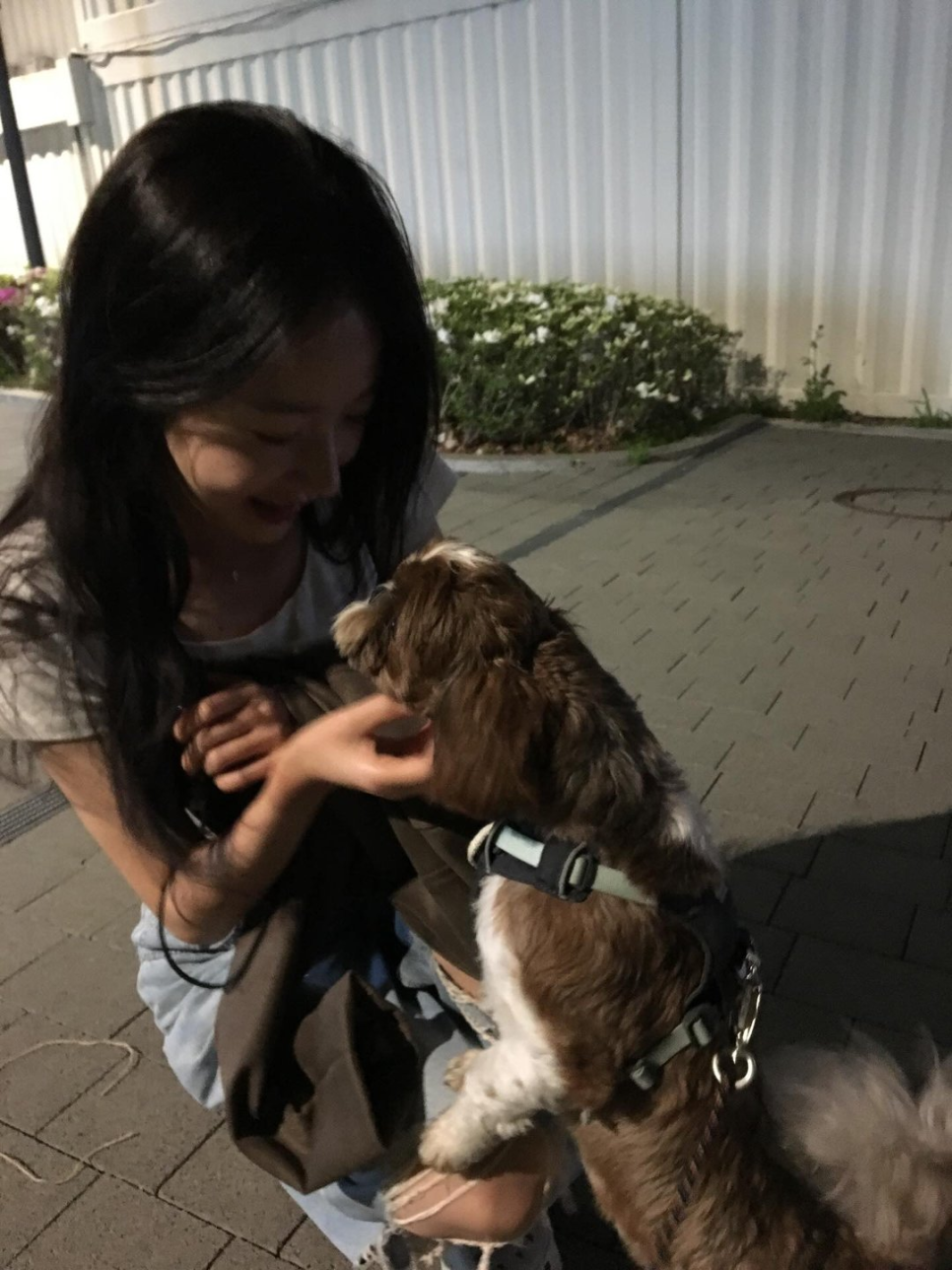 안효섭 채원빈 로코 첫방송 기록 이후 시선이 달라졌다 이미지 3