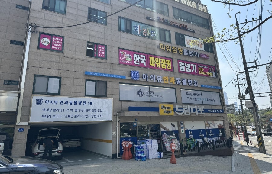 마포 공덕역 강아지 안과 진료, 아이뷰동물병원 비용 및 후기 — 사진 3