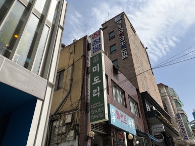 미도리 사진 4