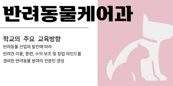 반려동물 특성화고: 애견미용·펫케어 진로 준비 — 사진 7