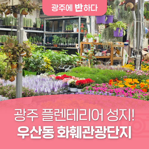 광주 우산동 화훼관광단지, 봄꽃 힐링 명소로 인기…카네이션·과실나무 다양