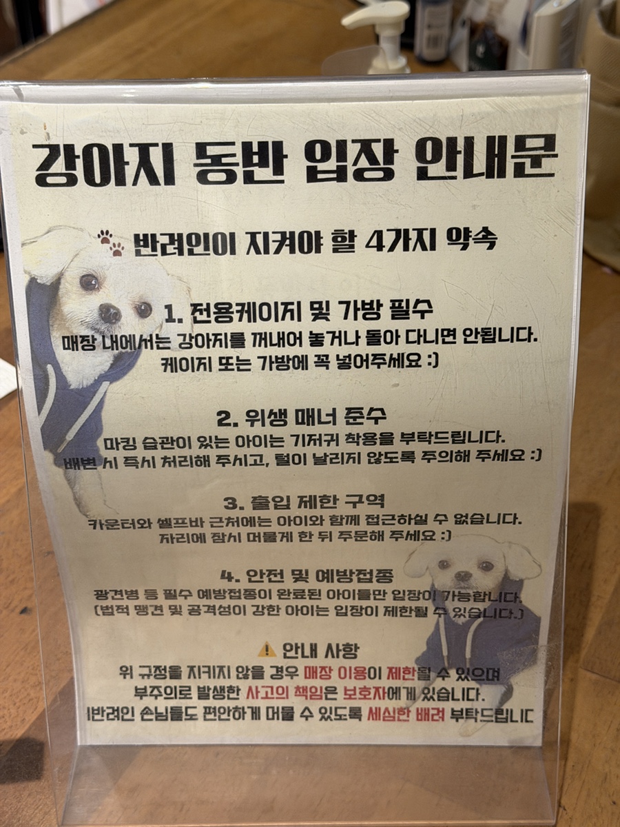 안양 동편마을 애견동반 카페, 리띵로스터스 방문 후기 — 사진 6
