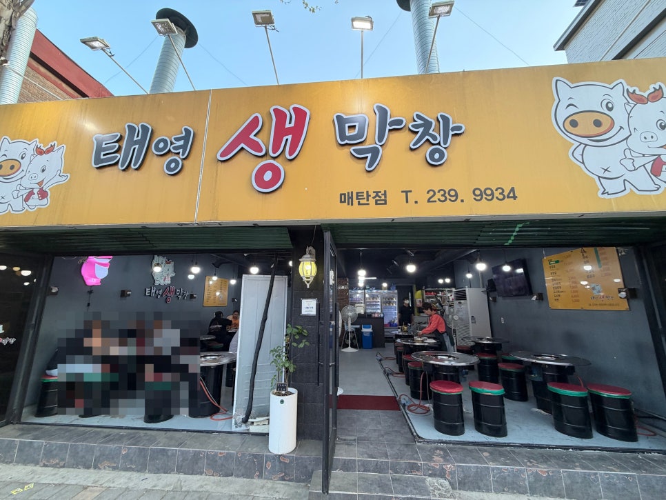 태영생막창 매탄점 대표 사진