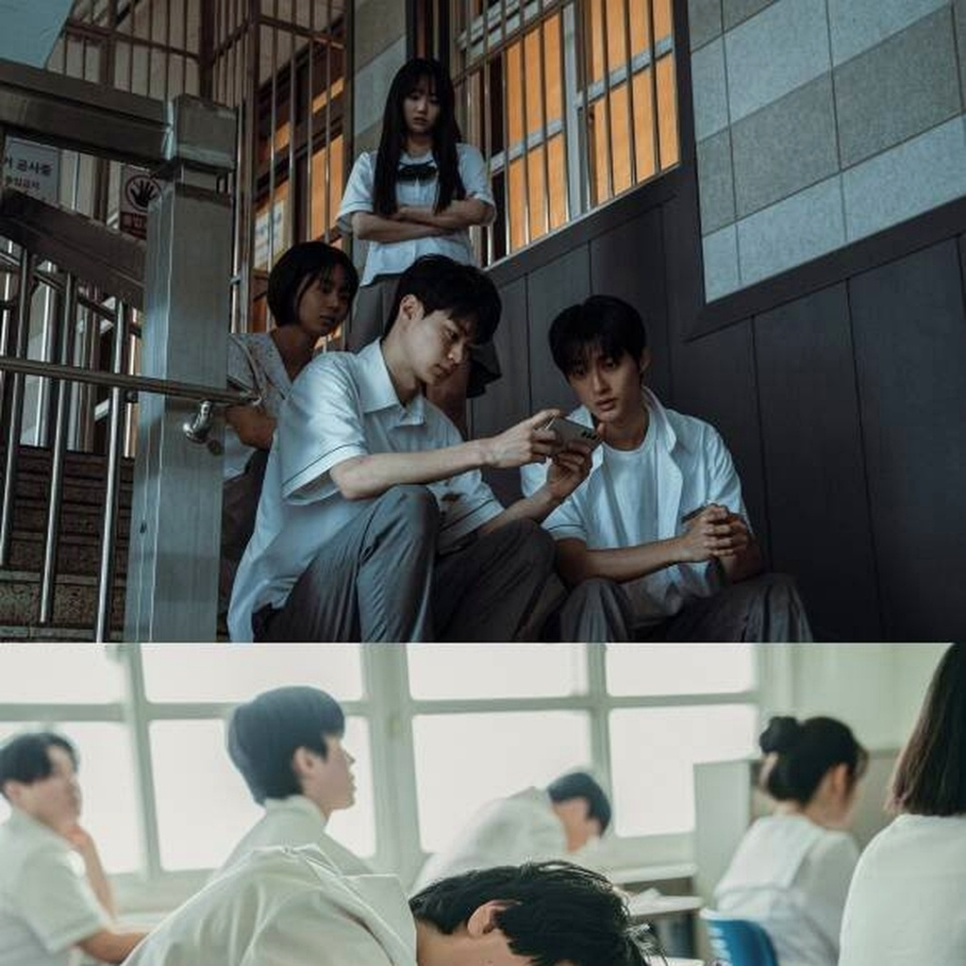 백선호·이효제 신예 반란 기대 왜 요즘 더 눈길이 가는 걸까 이미지 3