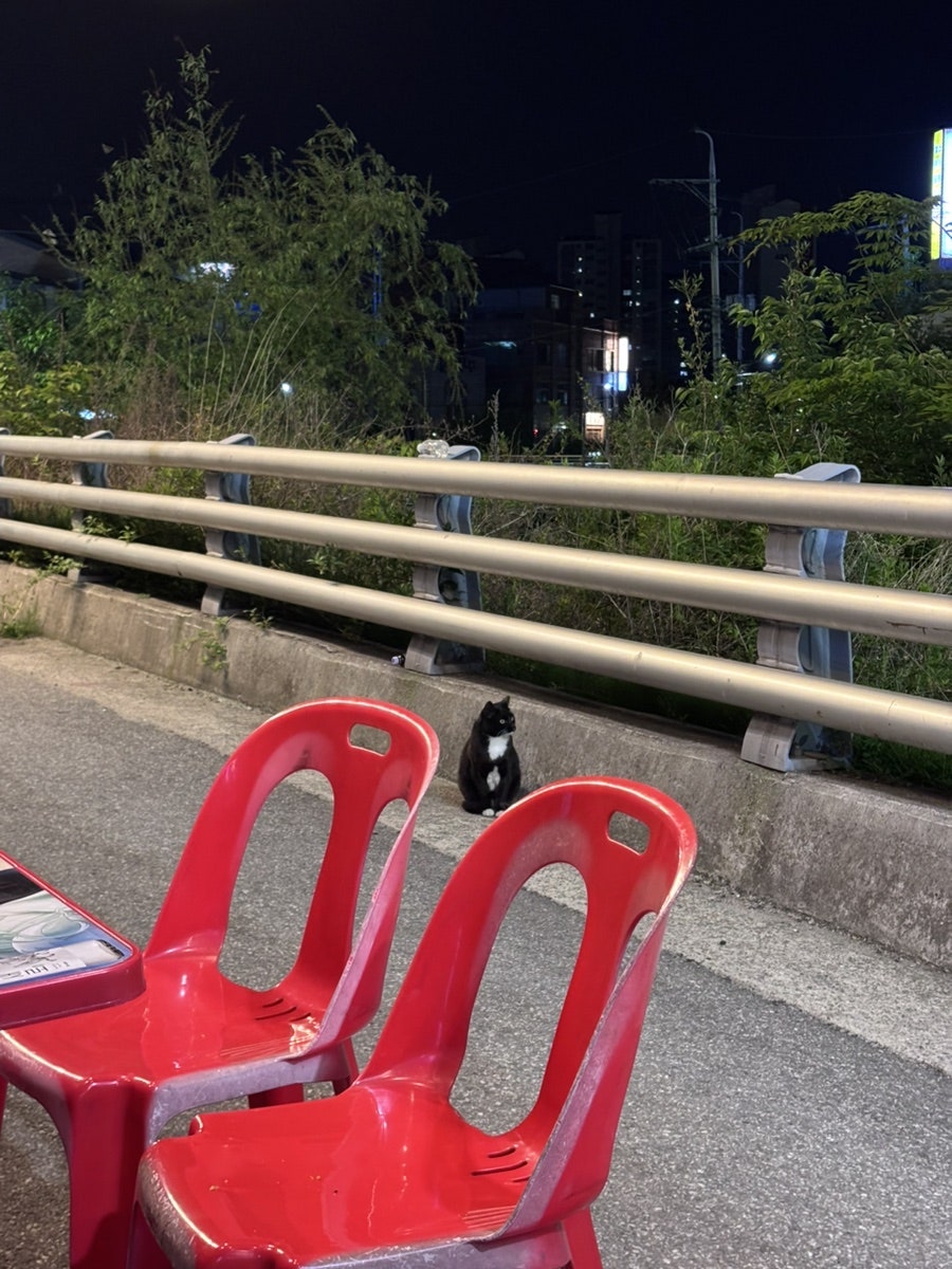 또랑울 사진 2