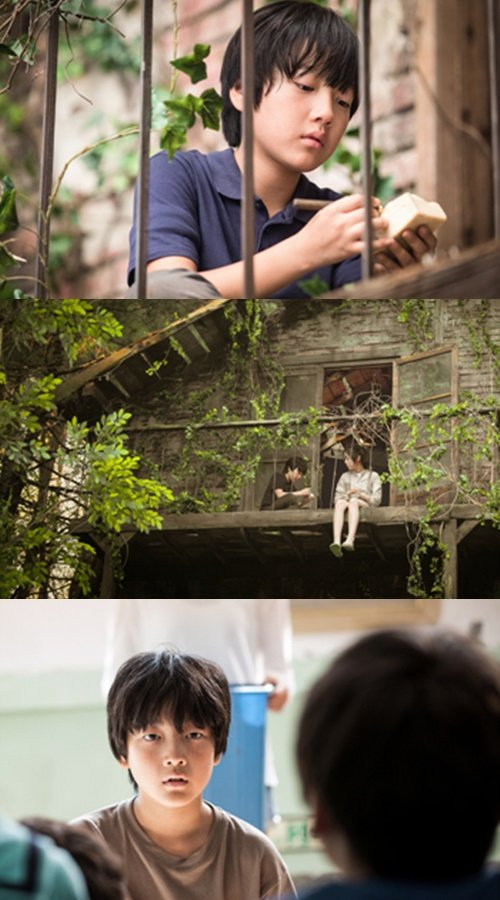 강동원·소지섭 아역 이효제 성장 요즘 다시 관심이 커진 이유 이미지 5