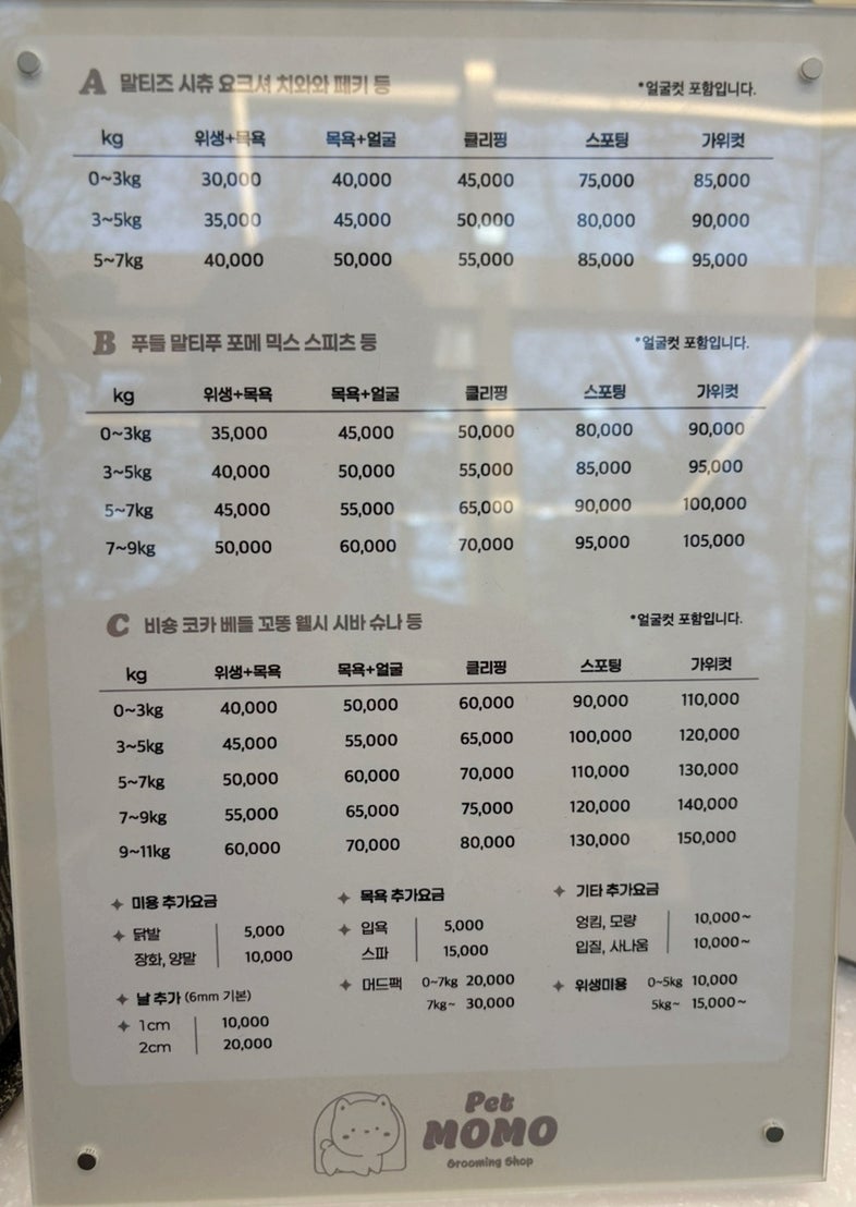 수원 인계동 강아지 미용: 엉킴 정리와 스파 후기 — 사진 7