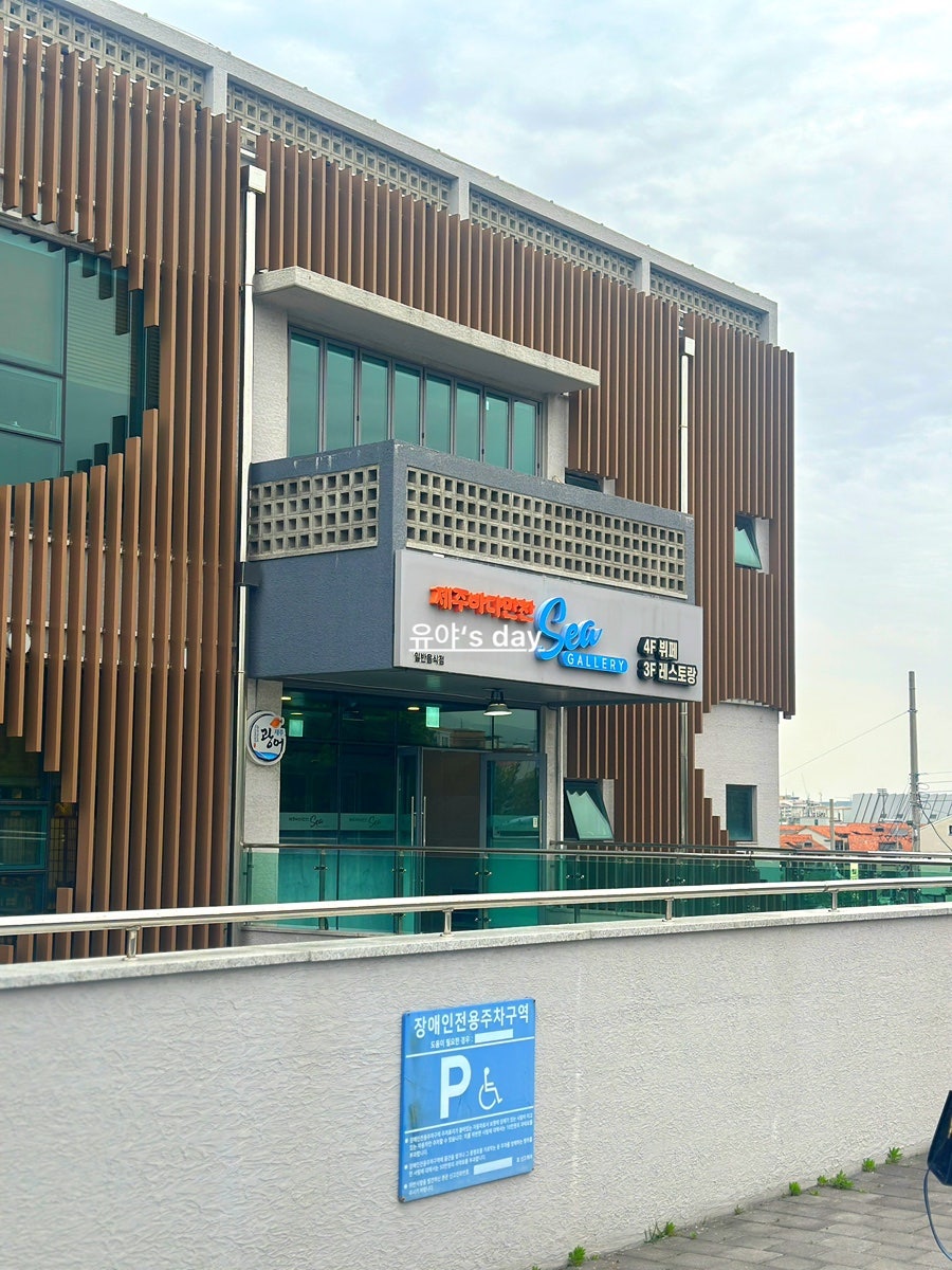 제주 환갑 기념 맛집: 바다만찬 모둠회 코스 후기