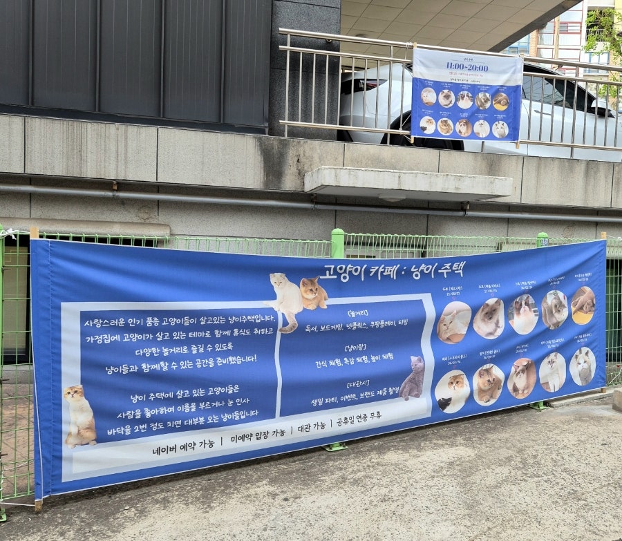신림 고양이 카페 '냥이주택' 데이트 코스 추천 — 사진 3