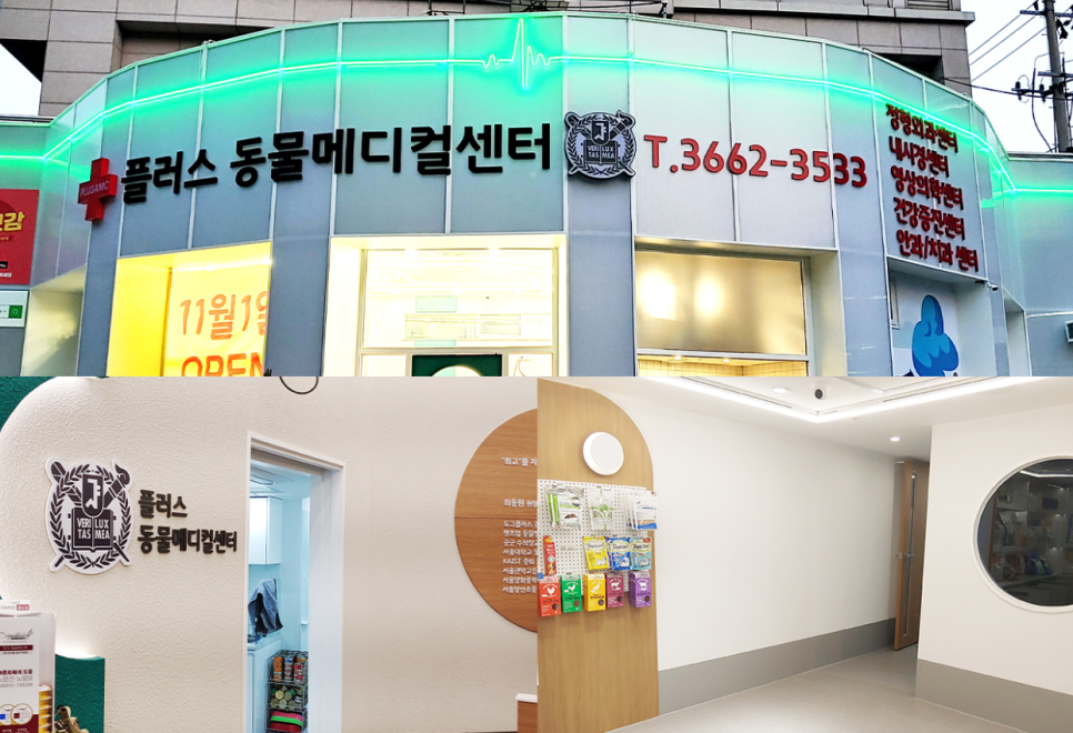 영등포 플러스동물 슬개골탈구 수술 후기 및 비용 안내 — 사진 4