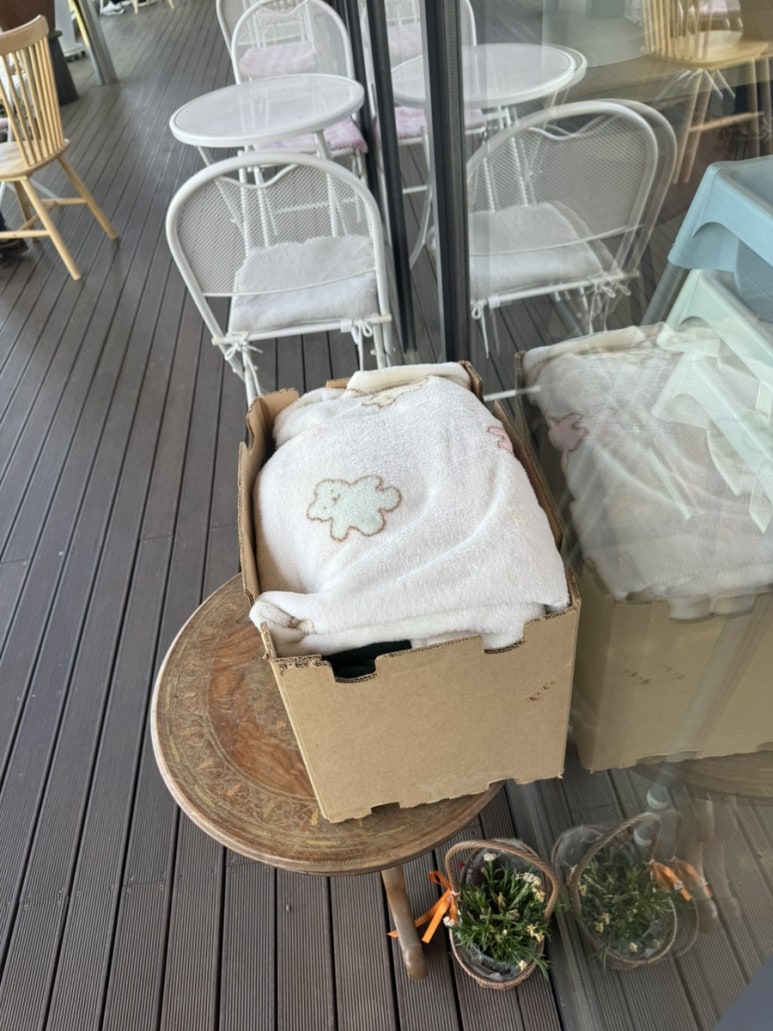 영흥수목원 카페 버터플라이 사진 7