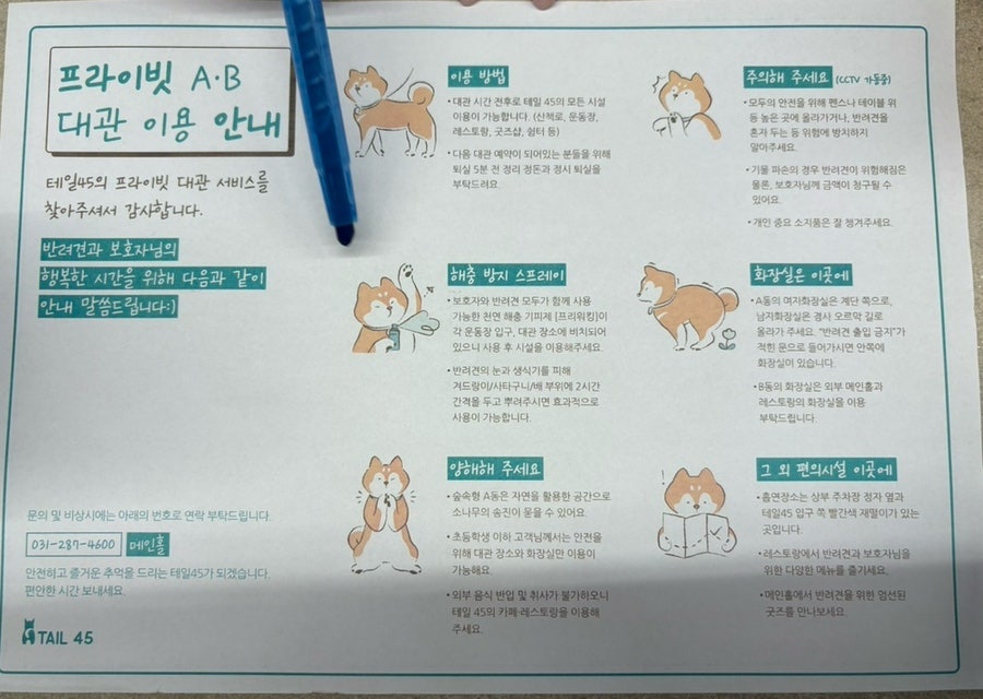 용인 애견운동장 테일45, 프라이빗 대관 강아지 놀이터 후기 — 사진 12
