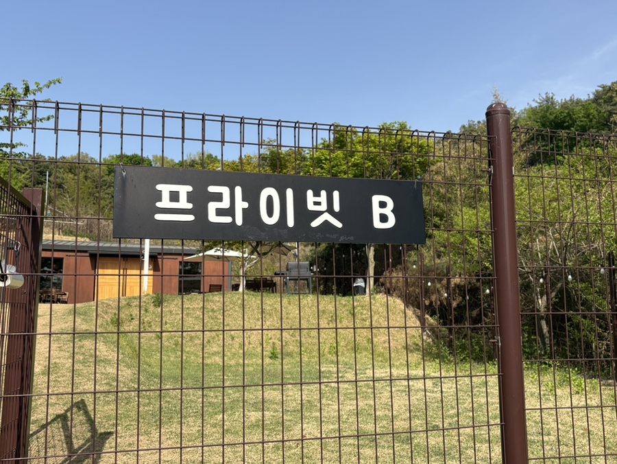 용인 애견운동장 테일45, 프라이빗 대관 강아지 놀이터 후기 — 사진 20