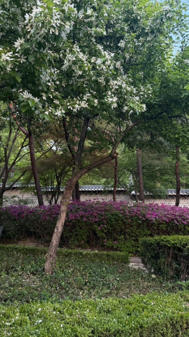 개성레코드 사진 5